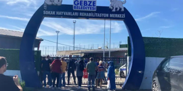 Rehabilitasyon merkezinde onlarca hayvan öldürüldü iddiası