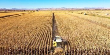 Tarımda üretici enflasyonu yıllık bazda 31.09 arttı