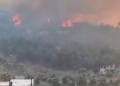 Hatay’da orman yangını: 4 ev tahliye edildi