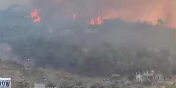 Hatay’da orman yangını: 4 ev tahliye edildi