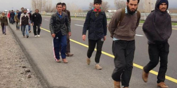 ‘Kalkan-29’ operasyonunda 242 düzensiz göçmen yakalandı