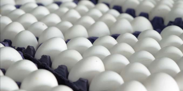 ‘Kuş gribi’ fırsatçılığı: Yumurta fiyatlarına yüzde 45 zam!