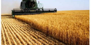 Tarım sektöründen ihracat rekoru