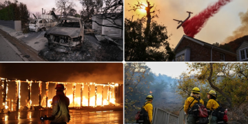 Los Angeles yangınlarında yaşamını yitirenlerin sayısı 16’ya çıktı