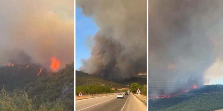 Bursa’da orman yangını! Anonslar yapıldı