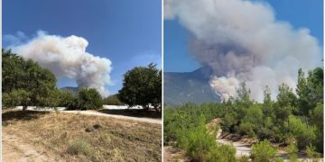 Denizli’de orman yangını