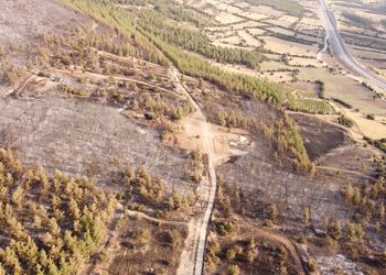 Denizli’deki orman yangınıyla ilgili 1 kişi yakalandı