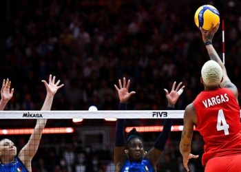 Teşekkürler Filenin Sultanları