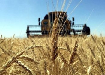 Çiftçilere 1,7 milyar liralık tarımsal destek ödemesi başladı