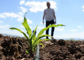 Gübre ve mazotta neler oluyor?